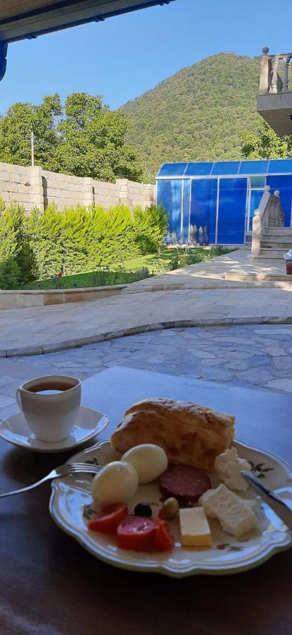 Viva Hotel Gabala With Sauna, Pool, Waterfall And Fireplace Екстер'єр фото